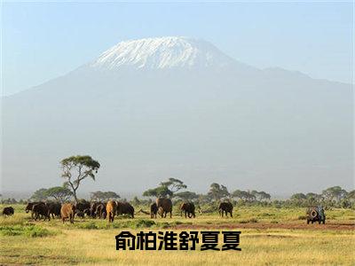 舒夏夏俞柏淮小说（俞柏淮舒夏夏已完结小说全集完整版大结局）俞柏淮舒夏夏小说全文阅读笔趣阁