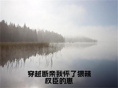 穿越断亲我怀了狠辣权臣的崽（王晚晚段流年）高质量小说王晚晚段流年推荐阅读-穿越断亲我怀了狠辣权臣的崽（王晚晚段流年）小说最新章节