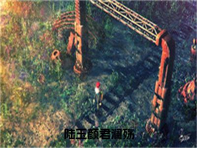 君澜殇陆玉颜（陆玉颜君澜殇）免费全文阅读小说_（君澜殇陆玉颜）陆玉颜君澜殇最新章节列表