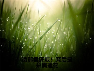 诱邪君破戒！宠后是朵黑莲花（季千澜楚凌叶）在哪免费看-诱邪君破戒！宠后是朵黑莲花小说（季千澜楚凌叶）全文完整版免费阅读