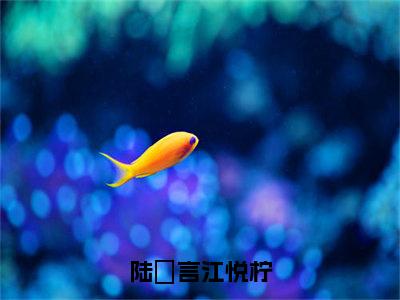 江悦柠陆璟言（陆璟言江悦柠）小说结局-江悦柠陆璟言全文无弹窗阅读