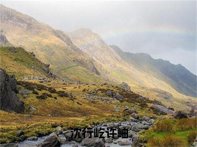 沈行屹许岫小说（沈行屹许岫）最新章节阅读-沈行屹许岫（沈行屹许岫）免费阅读无弹窗大结局