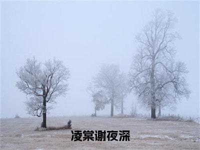 凌棠谢夜深（凌棠谢夜深）小说全文免费阅读无弹窗大结局_（凌棠谢夜深）凌棠谢夜深最新章节列表