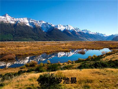 颜岁岁池晏（池晏颜岁岁）全文免费阅读-（池晏颜岁岁小说）颜岁岁池晏最新章节列表