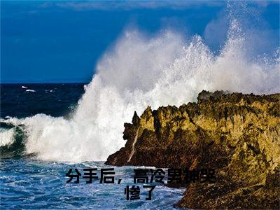 分手后，高冷男神哭惨了（沈暮之宋枳）免费阅读-（沈暮之宋枳）最新章节小说全文在线阅读