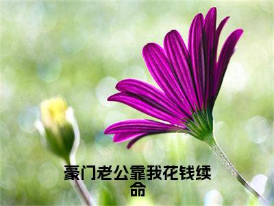 谢辞姜昭（豪门老公靠我花钱续命）全文免费阅读无弹窗_谢辞姜昭最新小说_笔趣阁