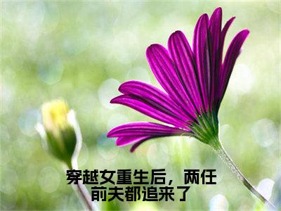 穿越女重生后，两任前夫都追来了（苏冰尘）全网首发最火小说-主角苏冰尘的小说完整版免费阅读