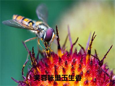 芙蓉帐里玉生香是什么小说-姜宴州明喻歌免费小说在线阅读