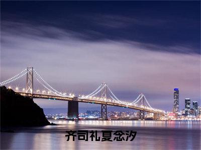 齐司礼夏念汐全文免费阅读无弹窗大结局_（夏念汐齐司礼）齐司礼夏念汐热门章节在线阅读笔趣阁（夏念汐齐司礼）