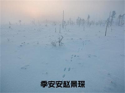 （赵景琛季安安）小说全文免费阅读_赵景琛季安安（季安安赵景琛）最新章节热文在线阅读