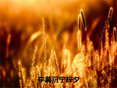 经典小说李慕沉宁梓夕无广告小说免费阅读李慕沉宁梓夕全章节免费阅读