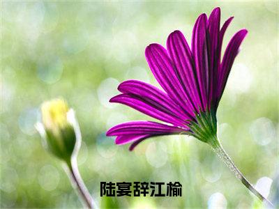 陆宴辞江榆精选热门好书-陆宴辞江榆（江榆陆宴辞）全文无删减版在线阅读