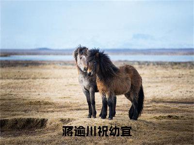 祝幼宜蒋逾川是什么小说蒋逾川祝幼宜正版小说免费阅读_笔趣阁