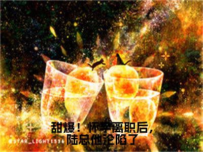 林宜陆砚南小说叫什么名字（甜爆！怀孕离职后，陆总他沦陷了）完整版大结局-林宜陆砚南小说在线阅读