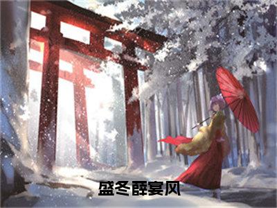 盛冬薛宴风（盛冬薛宴风）全文免费在线阅读_盛冬薛宴风全文免费阅读无弹窗大结局