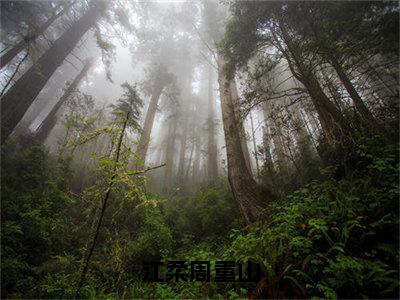 江柔周重山（江柔周重山）全文免费阅读无弹窗-江柔周重山主角叫江柔周重山的小说全章节免费阅读