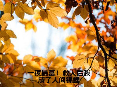 一夜暴富！救人后我成了人间锦鲤在线阅读（云鲤）全文免费阅读无弹窗大结局_云鲤最新章节列表笔趣阁（一夜暴富！救人后我成了人间锦鲤）