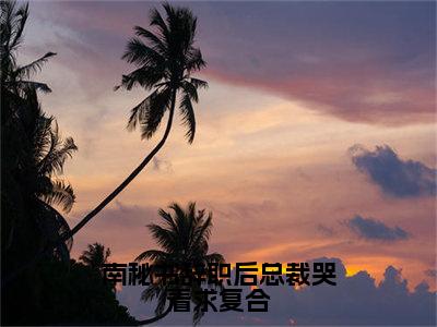 南秘书辞职后总裁哭着求复合全文全章节免费阅读-南枫桑胤衡全文免费阅读无弹窗大结局