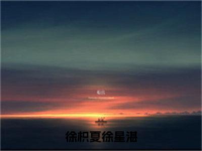 （徐枳夏徐星湛小说完整版）徐枳夏徐星湛全文免费阅读-（徐枳夏徐星湛）徐枳夏徐星湛小说最新章节列表