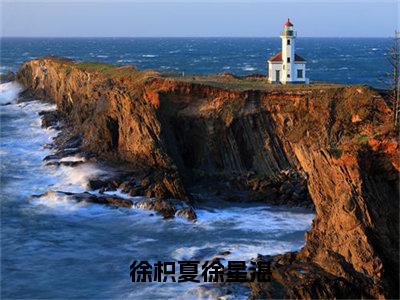 （徐枳夏徐星湛）徐枳夏徐星湛全文免费阅读无弹窗完整版_徐枳夏徐星湛小说全文免费阅读