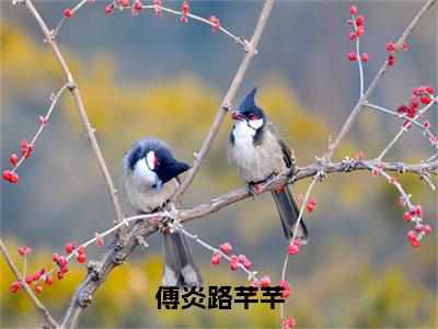 傅炎路芊芊（路芊芊傅炎）全文免费阅读无弹窗_傅炎路芊芊完整版最新阅读_笔趣阁（路芊芊傅炎）