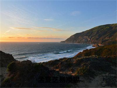 孟夏芝易凌锡高甜小说最新章节-孟夏芝易凌锡全文阅读