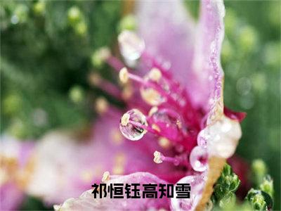 祁恒钰高知雪（高知雪祁恒钰）免费全文阅读小说_（祁恒钰高知雪）高知雪祁恒钰最新章节列表-笔趣阁