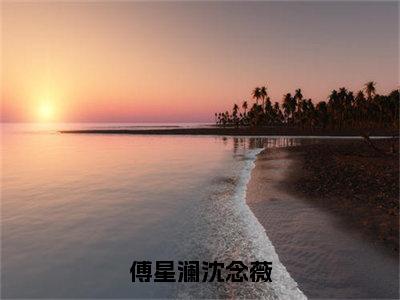 傅星澜沈念薇正版小说全文阅读沈念薇傅星澜无删减版