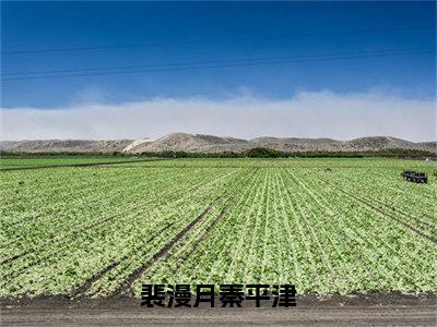 裴漫月秦平津小说全文免费阅读最新章节_裴漫月秦平津（裴漫月秦平津）免费观看完结版_笔趣阁（裴漫月秦平津）