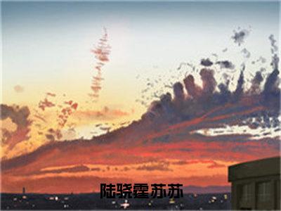 陆骁霆苏苏（苏苏陆骁霆）全文免费阅读无弹窗_（苏苏陆骁霆小说全文免费阅读）陆骁霆苏苏最新章节列表笔趣阁