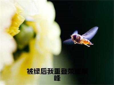 白萌萌小说全文免费阅读无弹窗-被绿后我重登荣耀巅峰全章节阅读