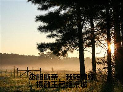 丞相断亲，我转身嫁摄政王冠绝京城（顾若溪霍景之）免费全文阅读小说_丞相断亲，我转身嫁摄政王冠绝京城免费在线阅读（顾若溪霍景之）小说最新章节列表