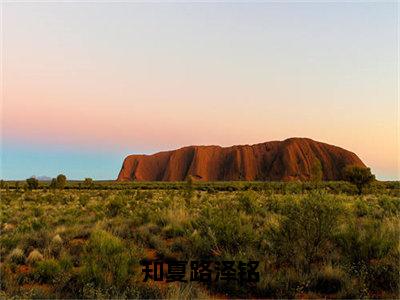 知夏路泽铭（路泽铭知夏）免费阅读最新章节无弹窗路泽铭知夏完整版小说在线阅读