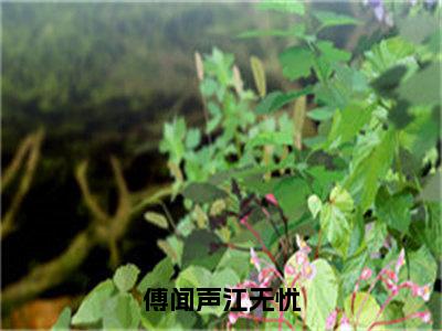 江无忧傅闻声（傅闻声江无忧）全文在线阅读无弹窗大结局_傅闻声江无忧全文无弹窗最新章节列表