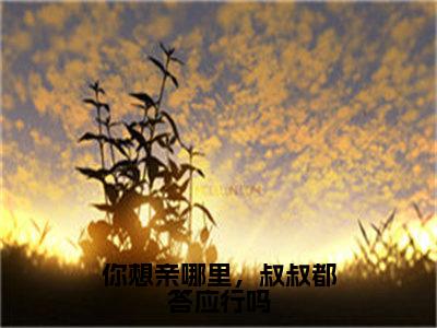 你想亲哪里，叔叔都答应行吗最新章节（洛雨甜宋名扬）全文免费阅读无弹窗大结局_洛雨甜宋名扬你想亲哪里，叔叔都答应行吗全文免费阅读