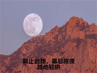 阮星时慕霖霄人气小说禁止逃跑，慕总夜夜跪地轻哄创在线阅读-正版小说《禁止逃跑，慕总夜夜跪地轻哄》阮星时慕霖霄全文阅读