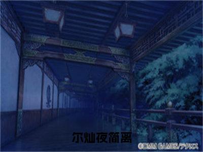 尔灿夜简离（夜简离尔灿）全文免费阅读无弹窗大结局_尔灿夜简离最新章节列表（夜简离尔灿）