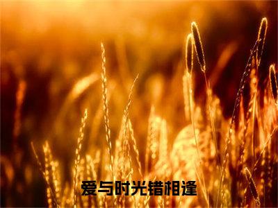 爱与时光错相逢小说（宋言方屿）免费阅读全文无弹窗大结局_宋言方屿免费阅读无弹窗小说_小说笔趣阁