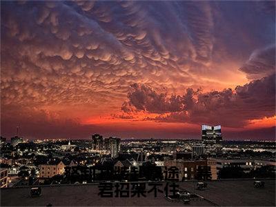 凤九颜（怒卸戎装赴凰途，暴君招架不住全文在线阅读）-凤九颜（怒卸戎装赴凰途，暴君招架不住）免费阅读