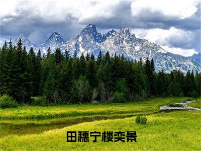 楼奕景田穗宁田穗宁楼奕景小说全文无广告阅读-楼奕景田穗宁小说赏析田穗宁楼奕景