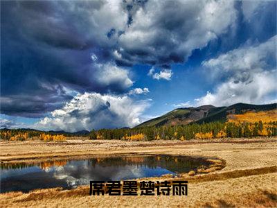 榜单小说席君墨楚诗雨全文免费阅读无弹窗大结局-楚诗雨席君墨全文在线阅读