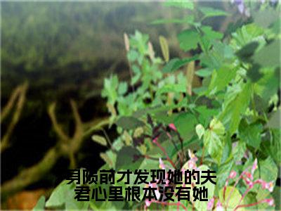 浅音墨华是什么小说-身陨前才发现她的夫君心里根本没有她小说浅音墨华全文阅读