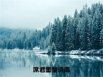 楚诗雨席君墨（席君墨楚诗雨）全文免费阅读无弹窗大结局_席君墨楚诗雨（楚诗雨席君墨）最新章节免费阅读