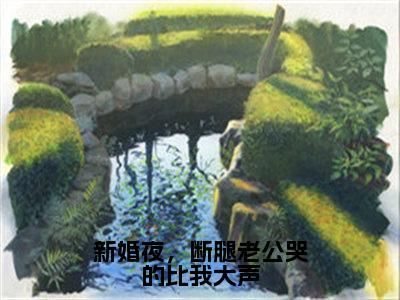 新婚夜，断腿老公哭的比我大声小说（陆景南柳小念）全文在线阅读无弹窗大结局新婚夜，断腿老公哭的比我大声