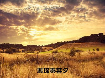 裴琛秦容夕（秦容夕裴琛）全文免费阅读大结局_（秦容夕裴琛免费阅读）裴琛秦容夕全文在线完本阅读