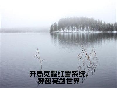 开局觉醒红警系统，穿越亮剑世界全本资源免费阅读结局无删节-林旭小说全文阅读无弹窗（开局觉醒红警系统，穿越亮剑世界）