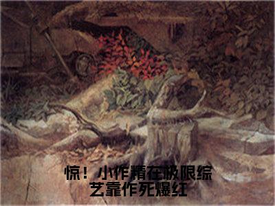 小说（惊！小作精在极限综艺靠作死爆红）盛鸢全文阅读_小说惊！小作精在极限综艺靠作死爆红免费阅读（盛鸢）笔趣阁