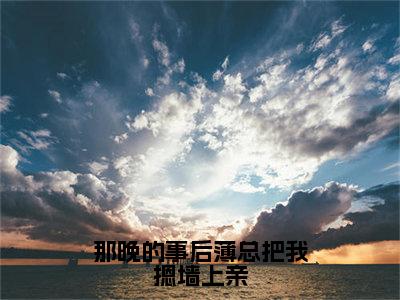 那晚的事后薄总把我摁墙上亲全文（苏星梨薄瑨深）全文免费阅读无弹窗大结局_苏星梨薄瑨深全文免费阅读最新章节列表