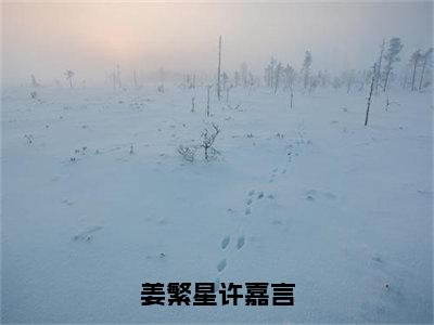 许嘉言姜繁星（姜繁星许嘉言）小说最新章节-姜繁星许嘉言全文免费阅读无弹窗大结局