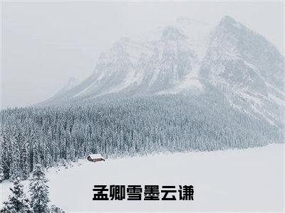 抖音高赞小说孟卿雪墨云谦在线阅读孟卿雪墨云谦新上现代言情小说推荐